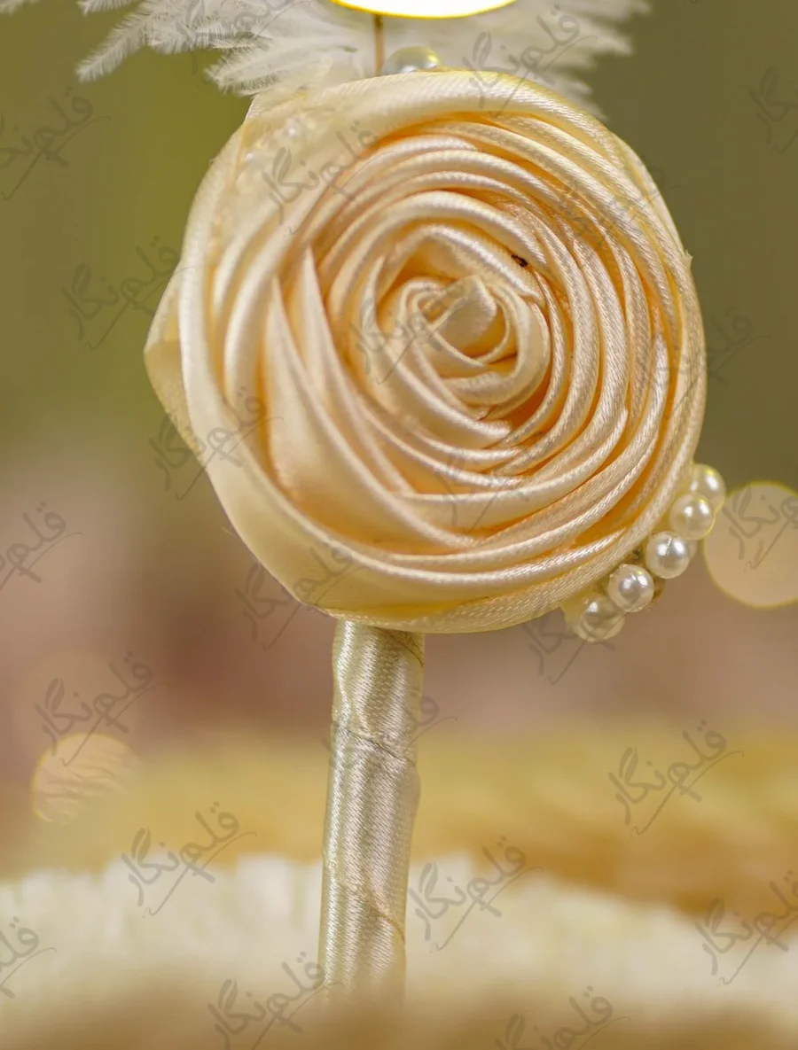 Close up of the cream pearl line running along the feather spine