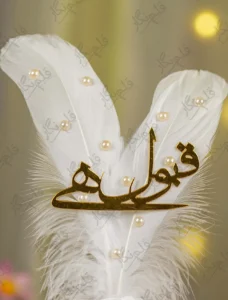 Front view of the double white feathers arranged in a V shape layout