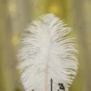 Close up of the black mirror acrylic Qabool Hai script on the white feather