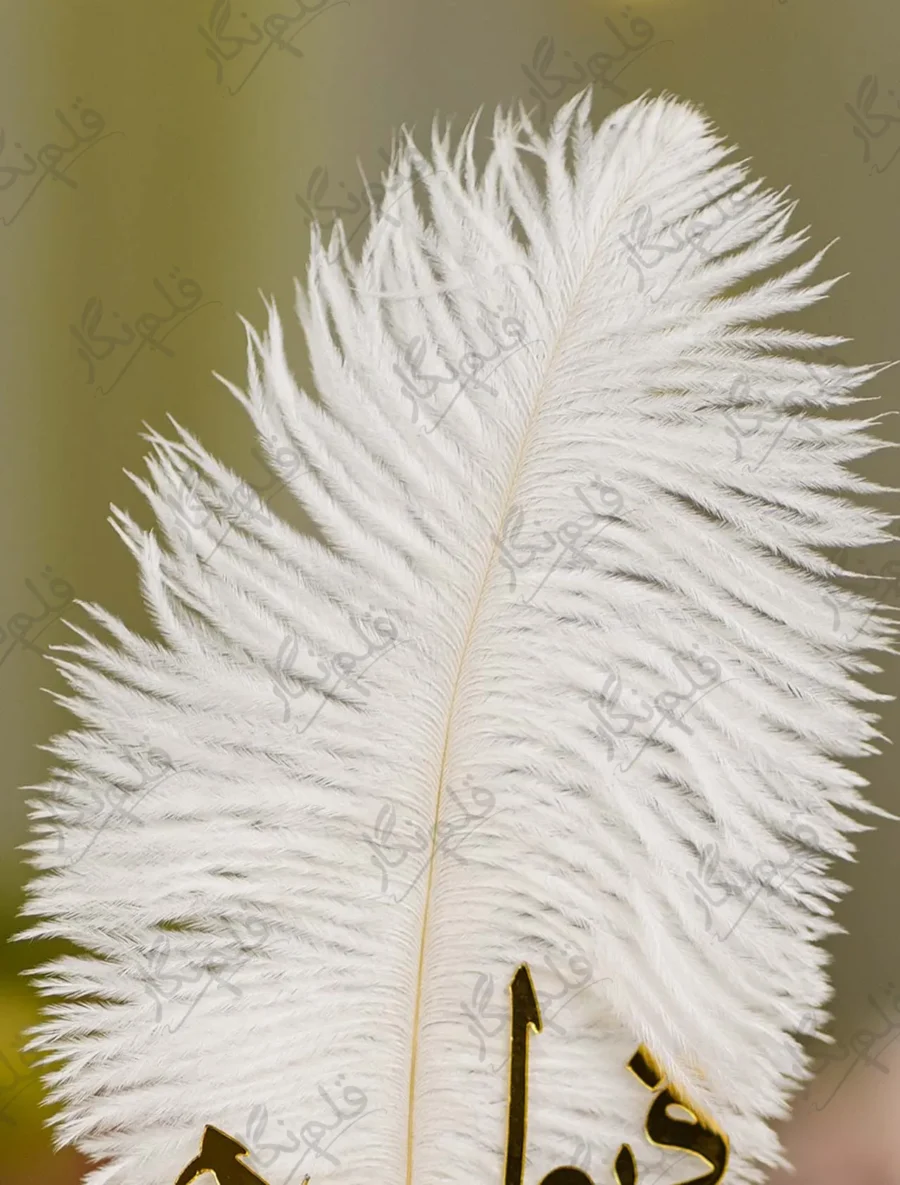 Close up of the gold mirror acrylic Qabool Hai calligraphy script on the feather