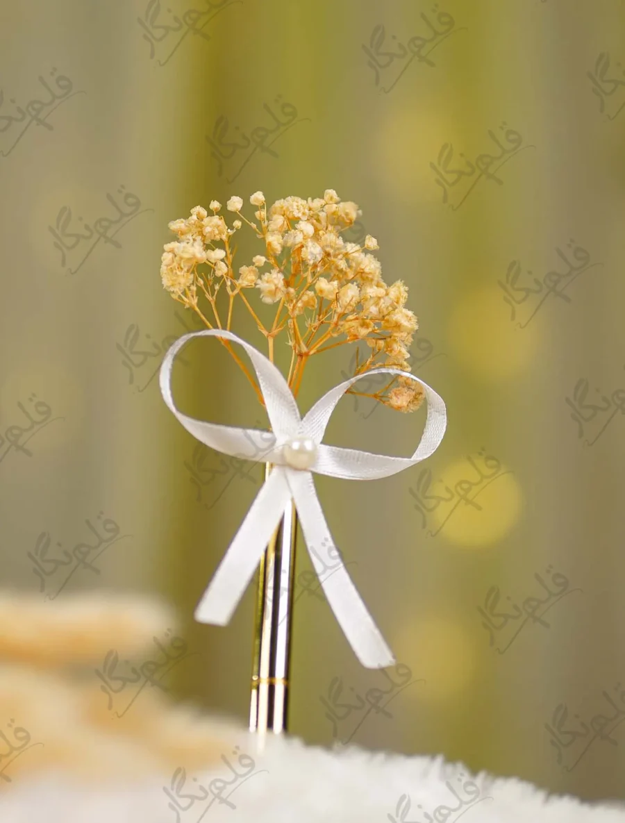 Close up of the natural dried gypsophila flowers and white satin bow
