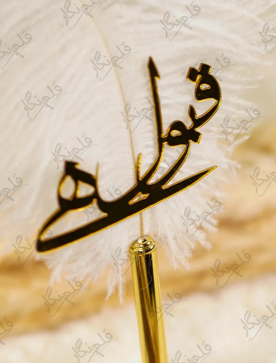 High angle view of the white ostrich feather quill fibers