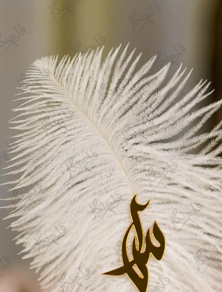 Close up showing custom Maha name cutout on the white feather