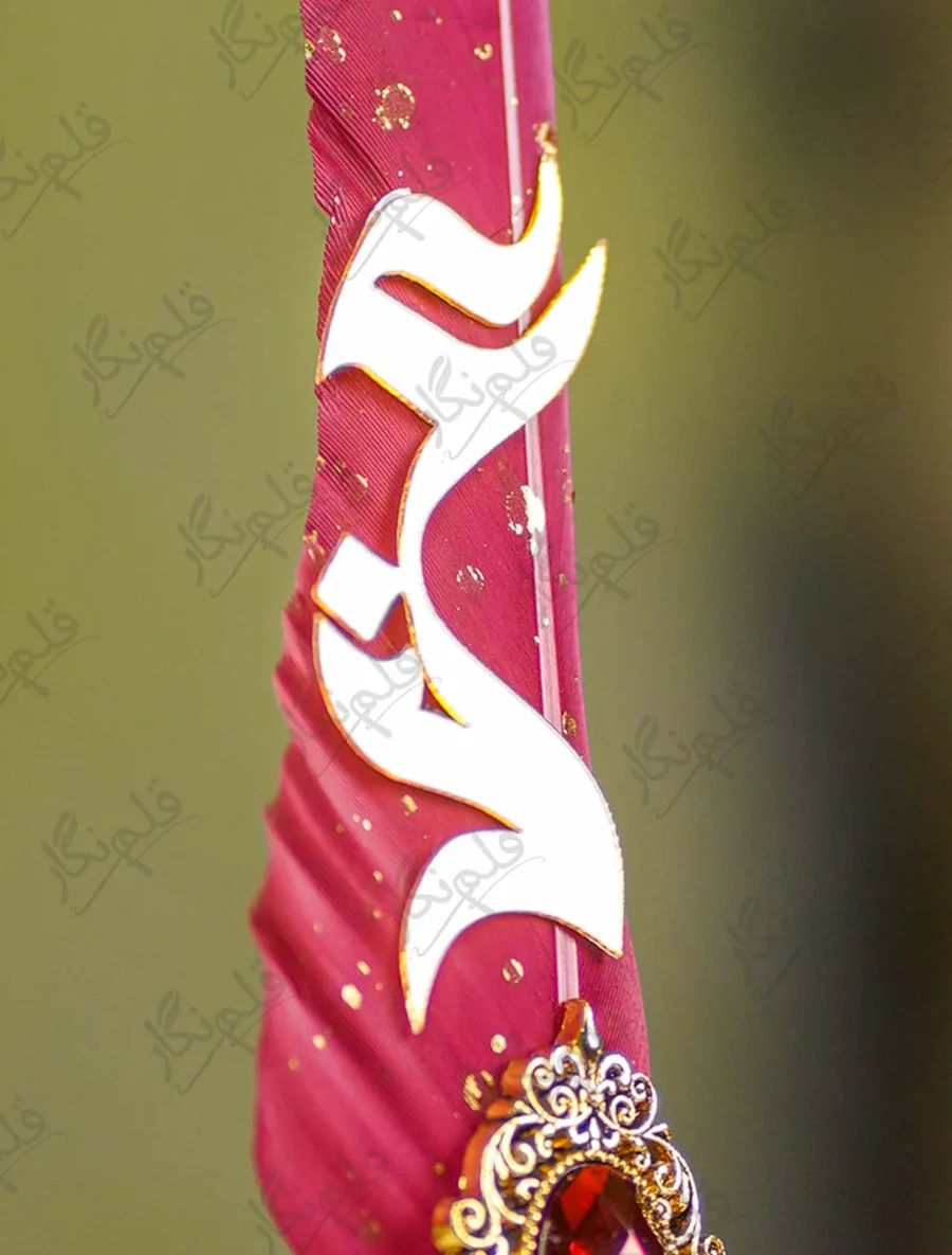 Close up of the gold filigree frame and base of the red feather