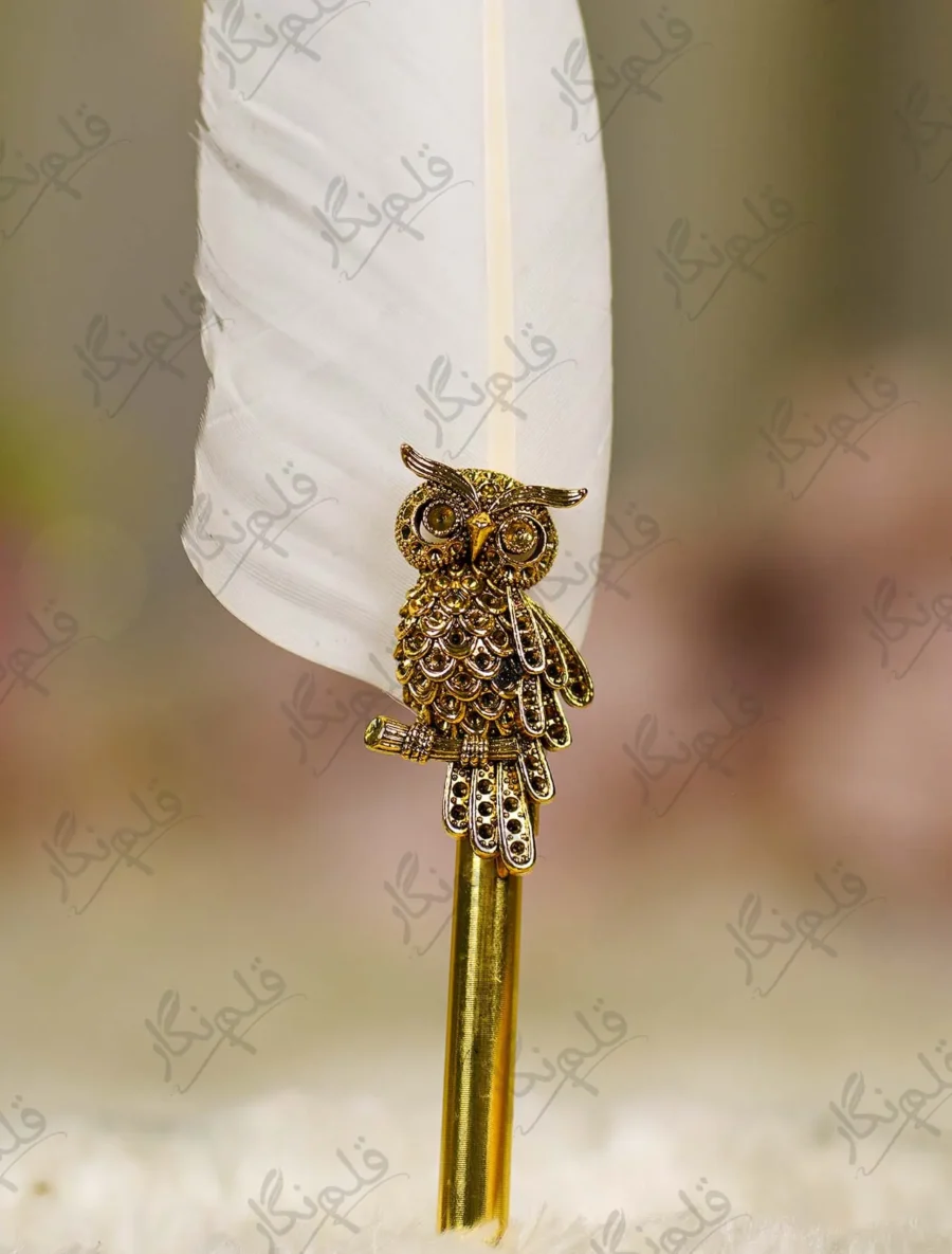 Close up of the top part of the smooth white quill feather