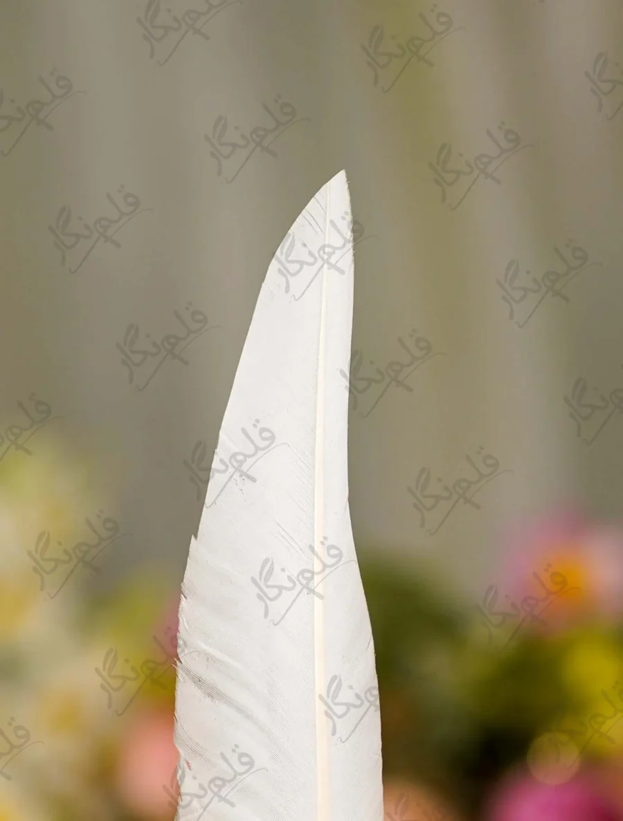 Side angle of the golden owl emblem perched on the pen body
