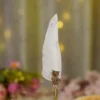 Imported gold metal owl Nikkah pen with a white quill feather