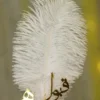 Gold Ribbon Wrapped White Feather Nikkah Pen 1