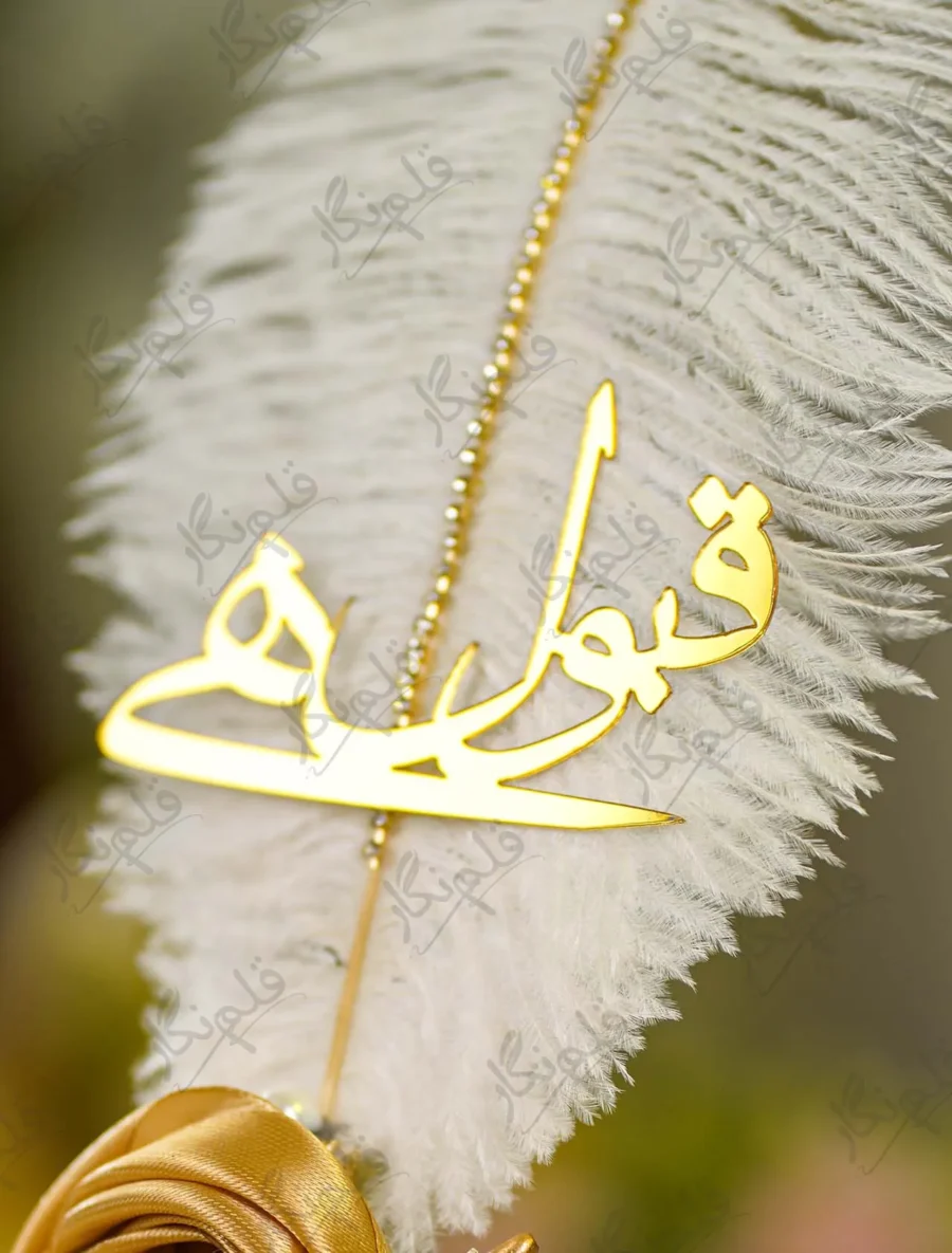 Close up of the gold rhinestone line running along the feather spine