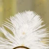 High angle close up of the white feather showing the two pearl accents on the shaft