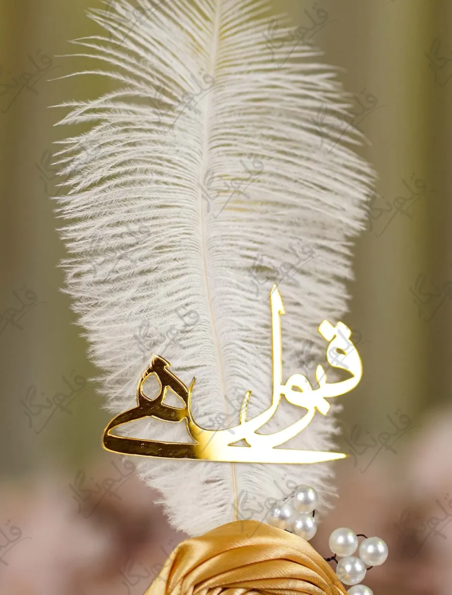 High angle view of the soft white feather quill