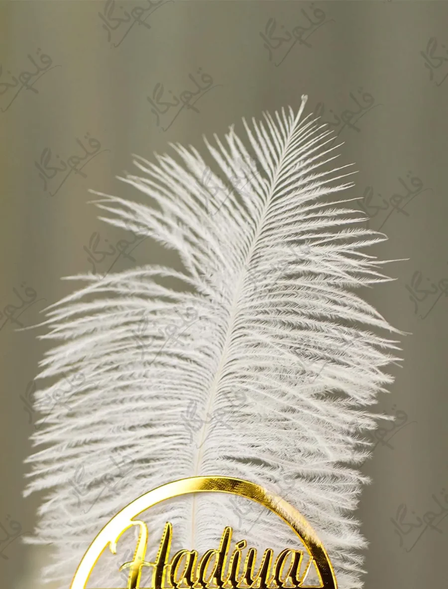 Customized version showing circular gold acrylic couple nameplate on the feather
