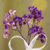 Detailed shot of the dried gypsophila flower stems at the top of the pen
