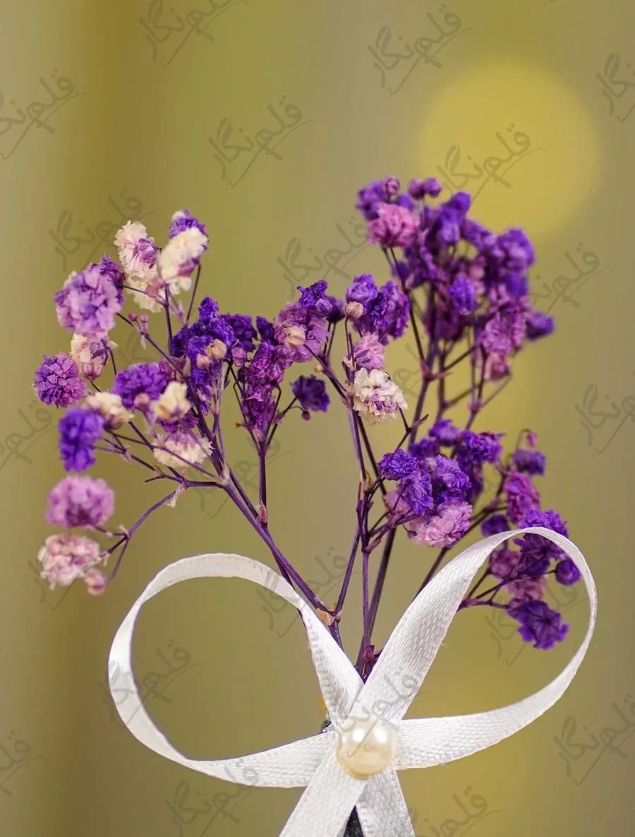 Detailed shot of the dried gypsophila flower stems at the top of the pen