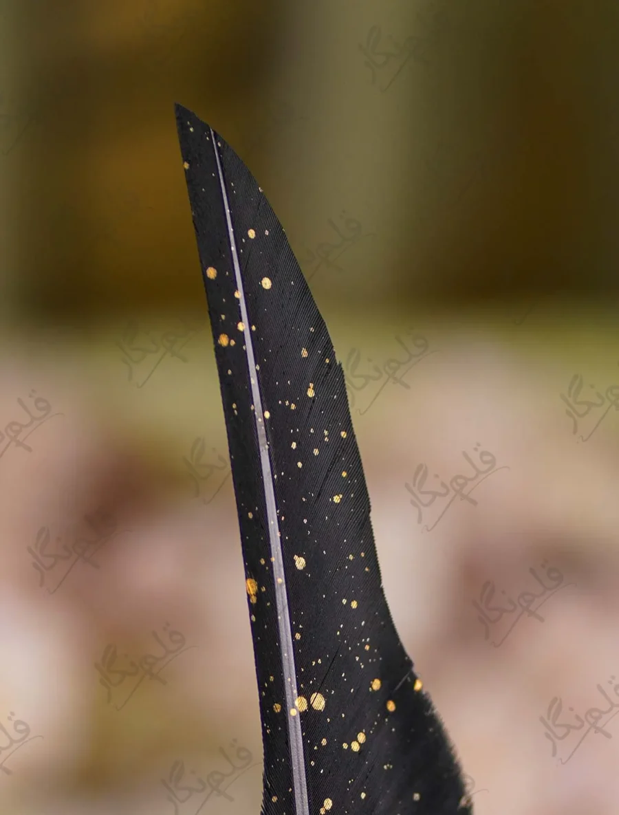 Faceted black oval crystal gem in a gold frame close up