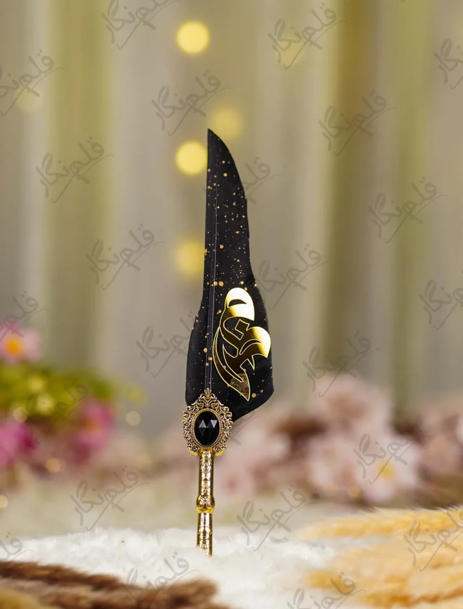 Detailed shot of the gold mirror nameplate on black feather