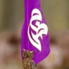 Upper tip of the natural purple quill feather