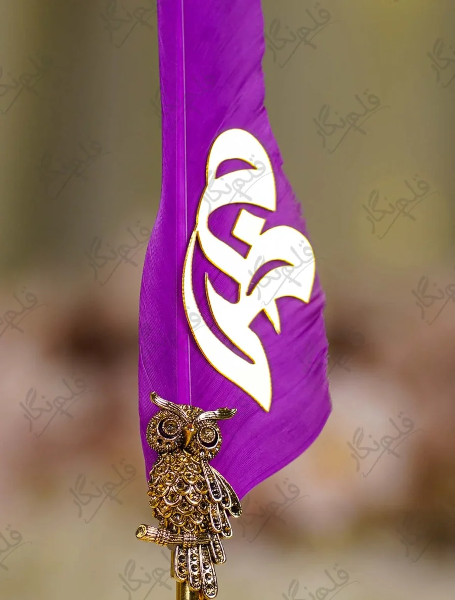 Upper tip of the natural purple quill feather