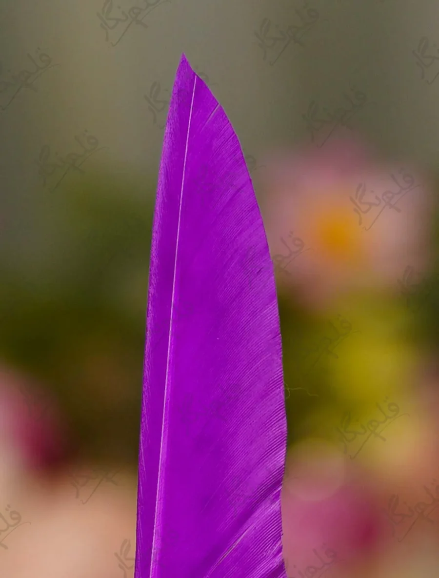 Gold metal owl emblem close up showing natural purple feather background