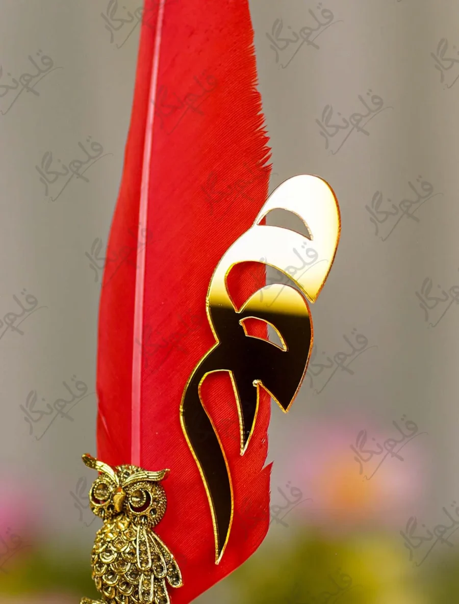 Upper half of the natural red quill feather showing fine fibers