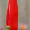 Gold metal owl emblem close up showing natural red feather background