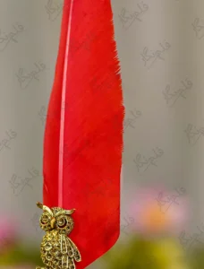 Gold metal owl emblem close up showing natural red feather background