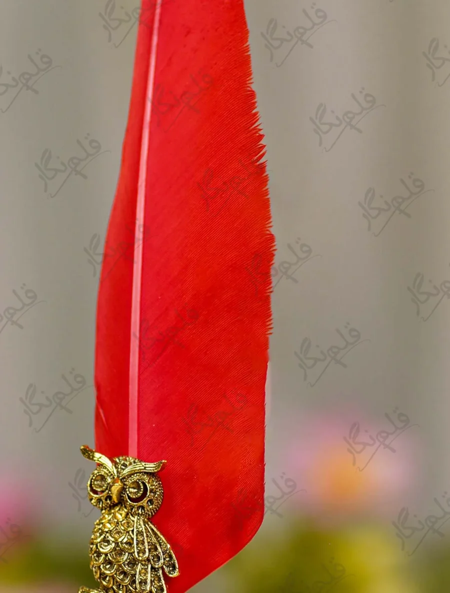 Gold metal owl emblem close up showing natural red feather background