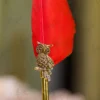 Top tip of the red quill feather close up
