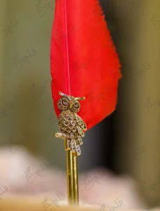 Top tip of the red quill feather close up