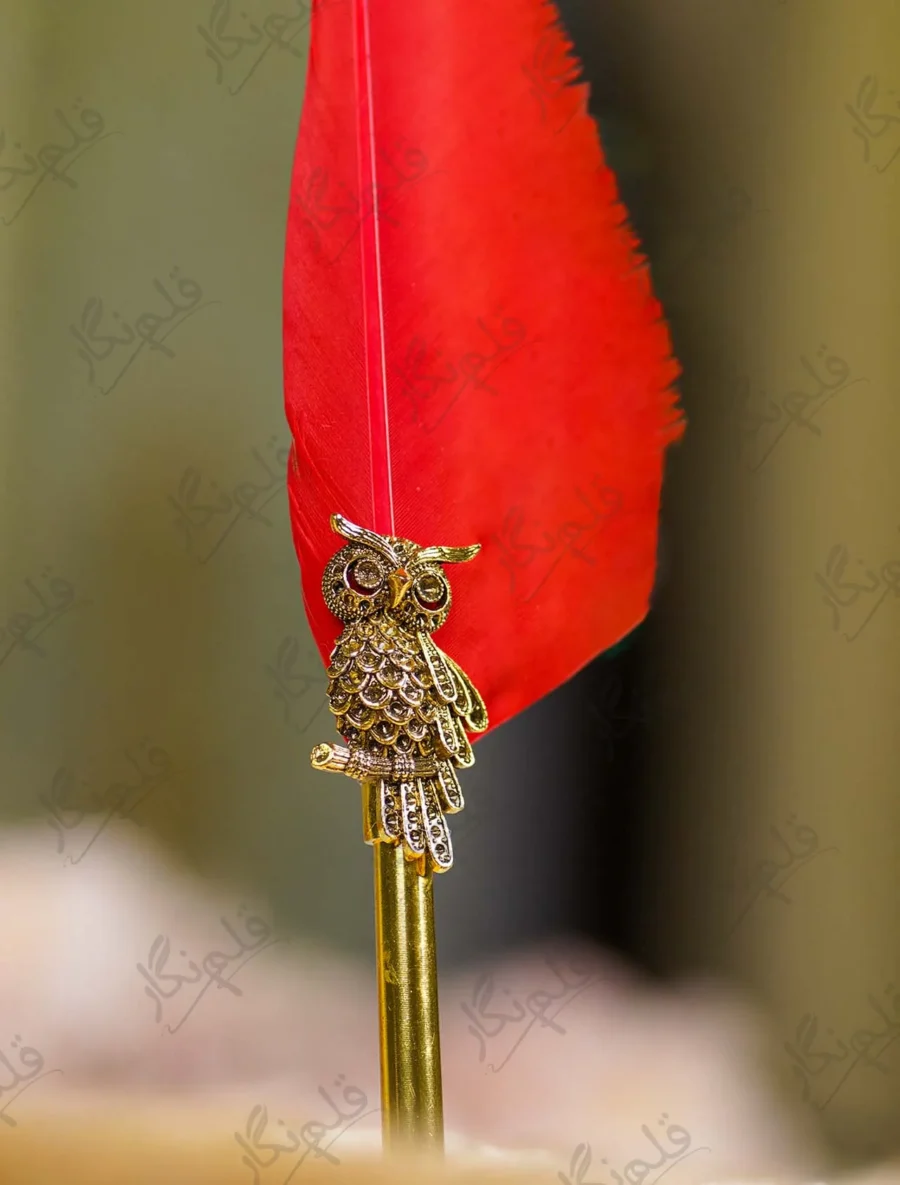 Top tip of the red quill feather close up