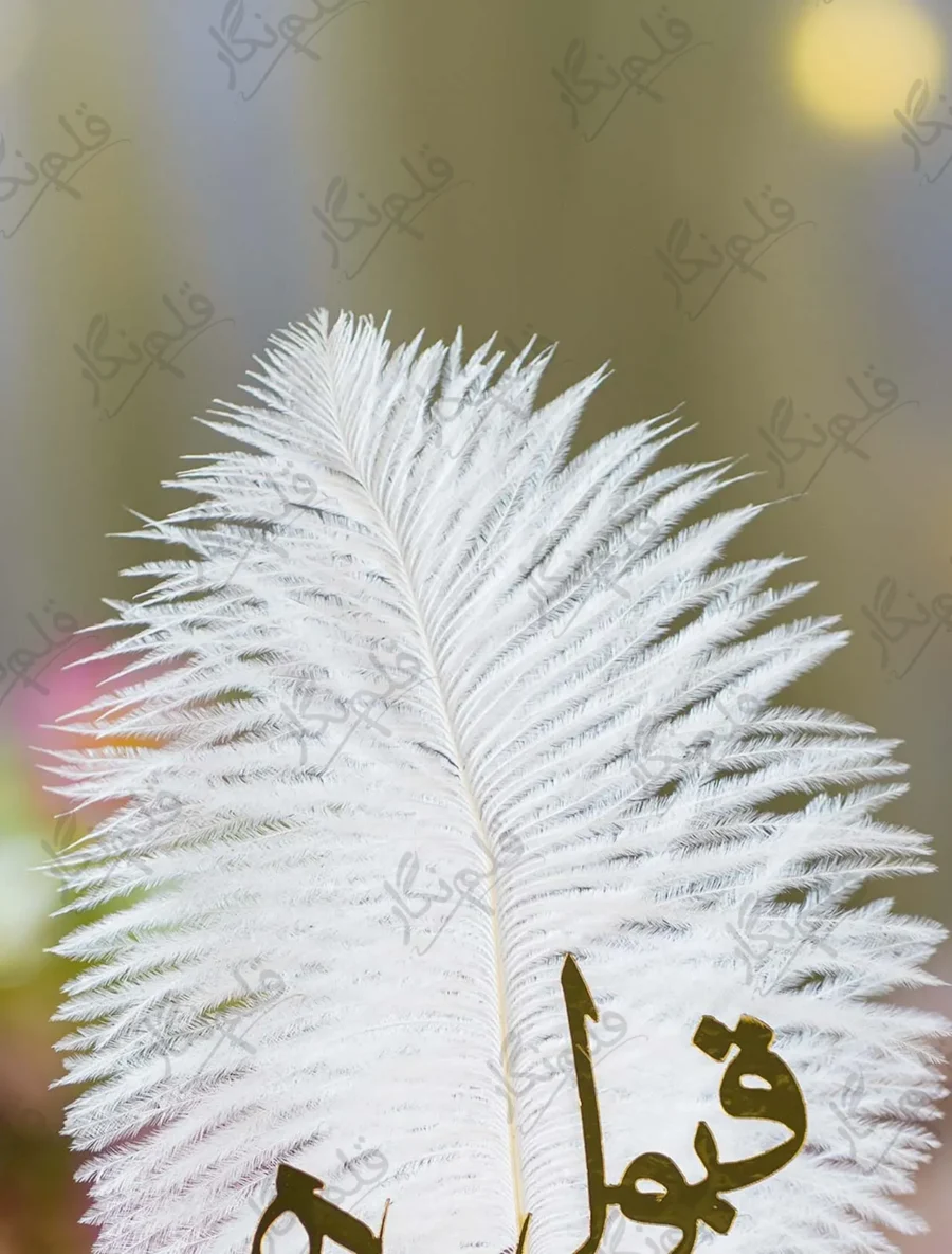 High angle shot showing the white feather quill construction