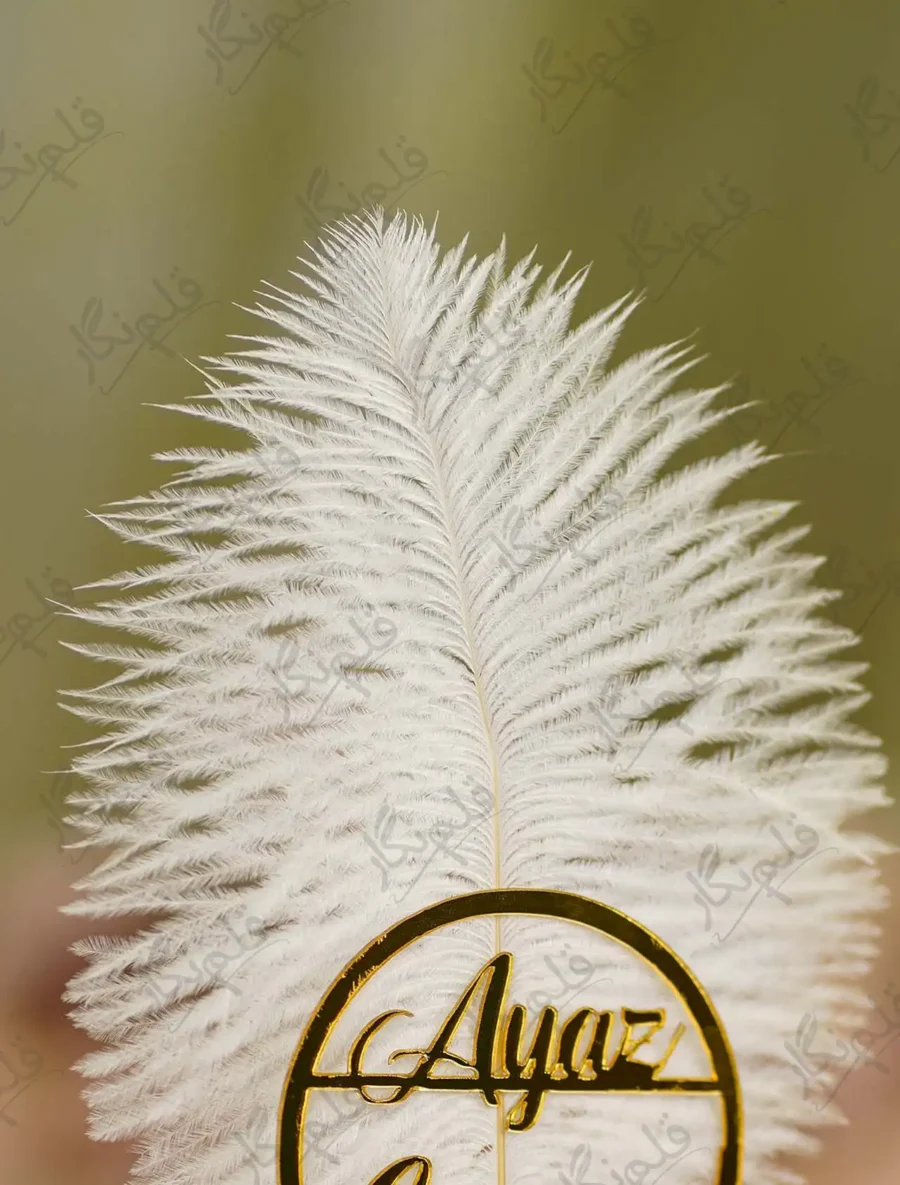 Alternate close up of the white feather and custom name circle details
