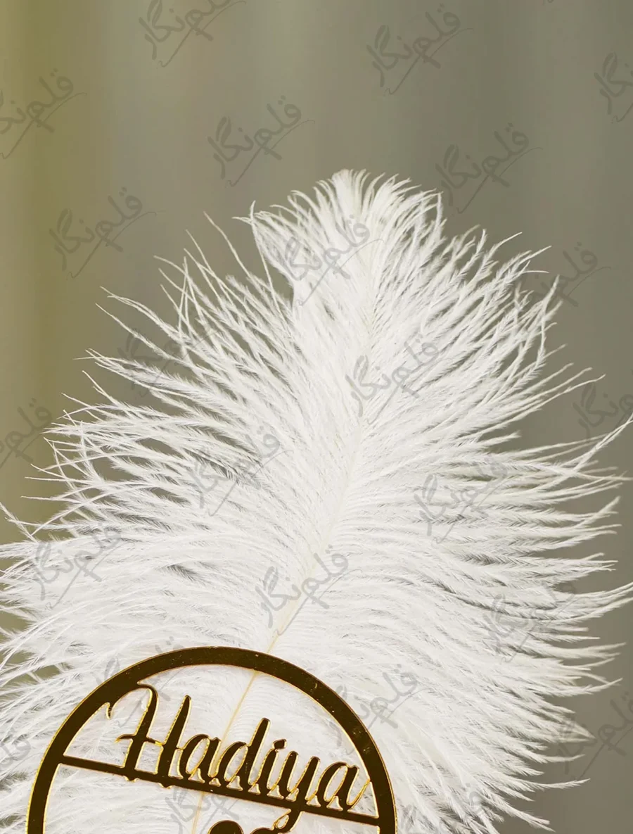 White Feather Pen with Gold Bow