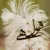 Close up of the golden mirror acrylic Qabool Hai script on the white feather